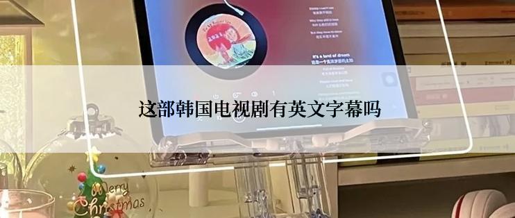  这部韩国电视剧有英文字幕吗