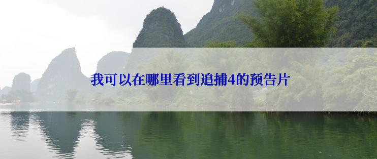  我可以在哪里看到追捕4的预告片