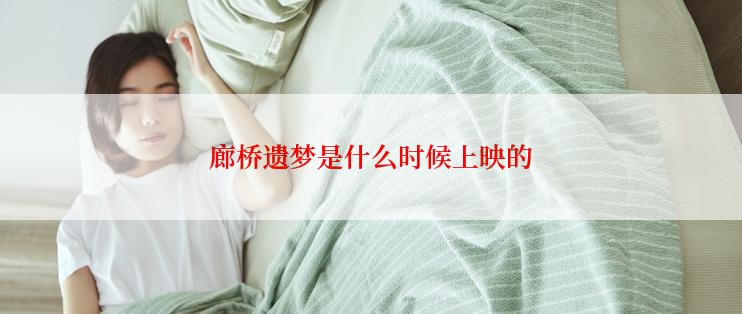 廊桥遗梦是什么时候上映的