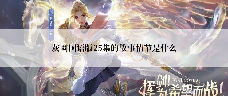 灰网国语版25集的故事情节是什么