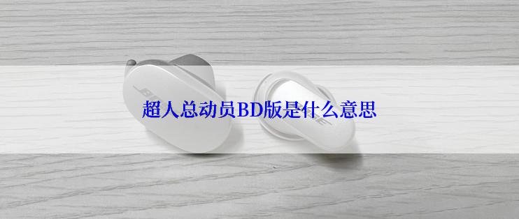 超人总动员BD版是什么意思