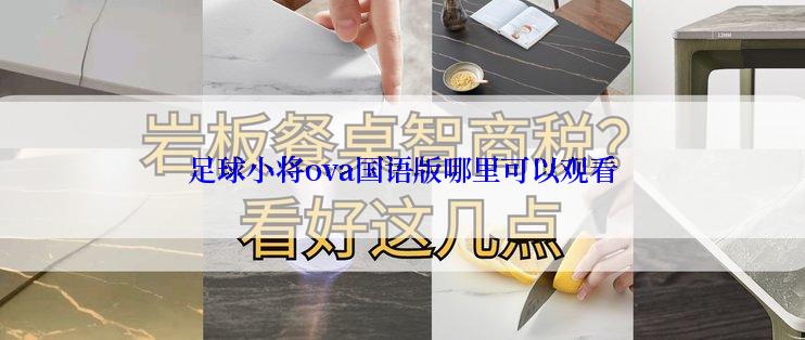 足球小将ova国语版哪里可以观看