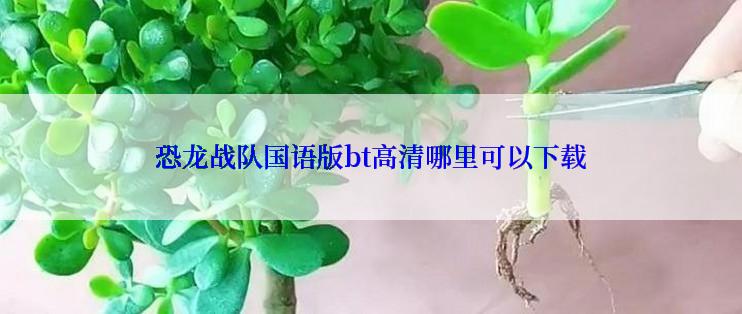 恐龙战队国语版bt高清哪里可以下载