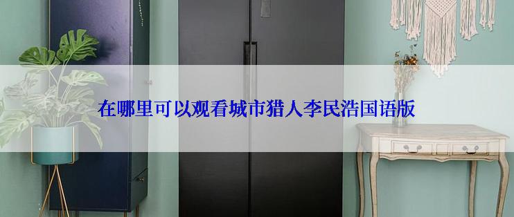 在哪里可以观看城市猎人李民浩国语版