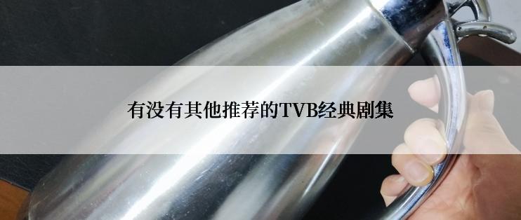 有没有其他推荐的TVB经典剧集