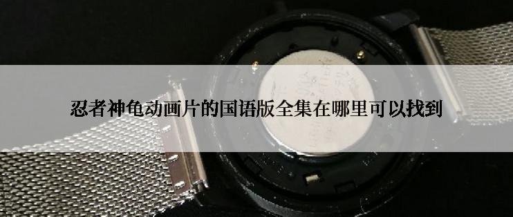 忍者神龟动画片的国语版全集在哪里可以找到