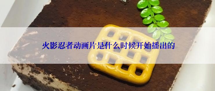  火影忍者动画片是什么时候开始播出的