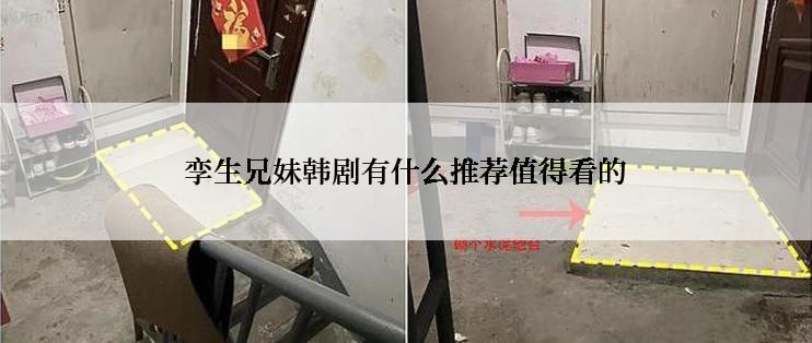 孪生兄妹韩剧有什么推荐值得看的