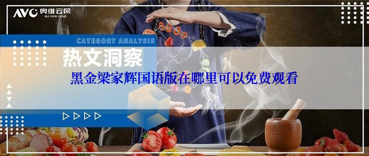 黑金梁家辉国语版在哪里可以免费观看