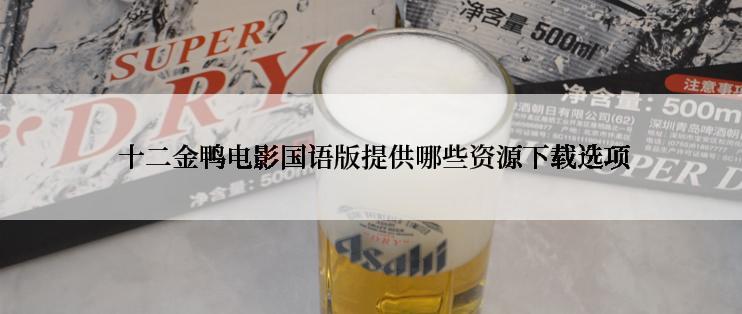  十二金鸭电影国语版提供哪些资源下载选项