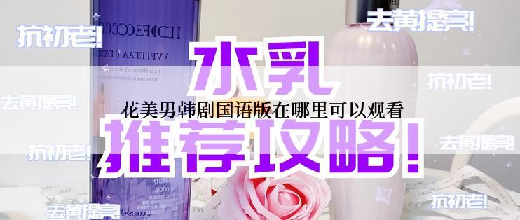  花美男韩剧国语版在哪里可以观看