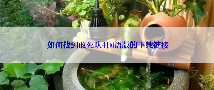  如何找到敢死队4国语版的下载链接