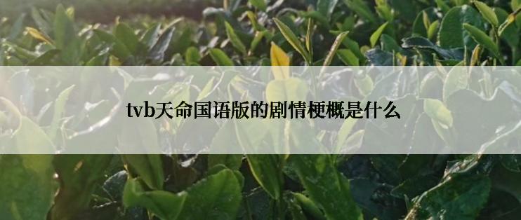  tvb天命国语版的剧情梗概是什么