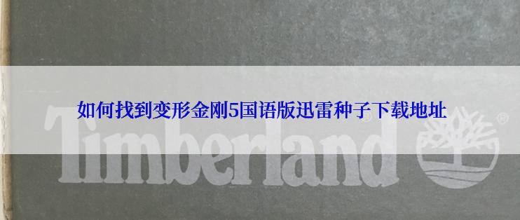  如何找到变形金刚5国语版迅雷种子下载地址