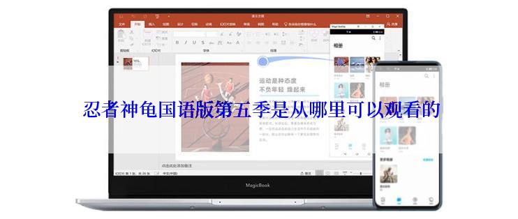  忍者神龟国语版第五季是从哪里可以观看的