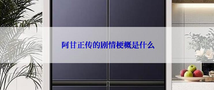  阿甘正传的剧情梗概是什么