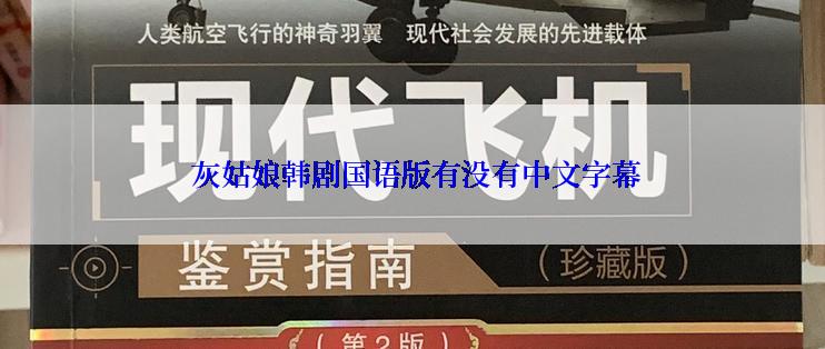  灰姑娘韩剧国语版有没有中文字幕