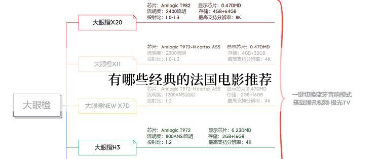  有哪些经典的法国电影推荐