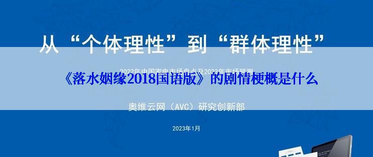  《落水姻缘2018国语版》的剧情梗概是什么