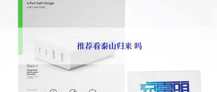  推荐看泰山归来 吗