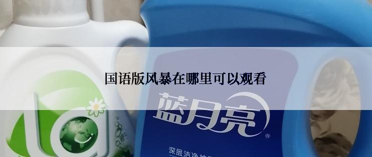 国语版风暴在哪里可以观看