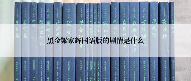 黑金梁家辉国语版的剧情是什么