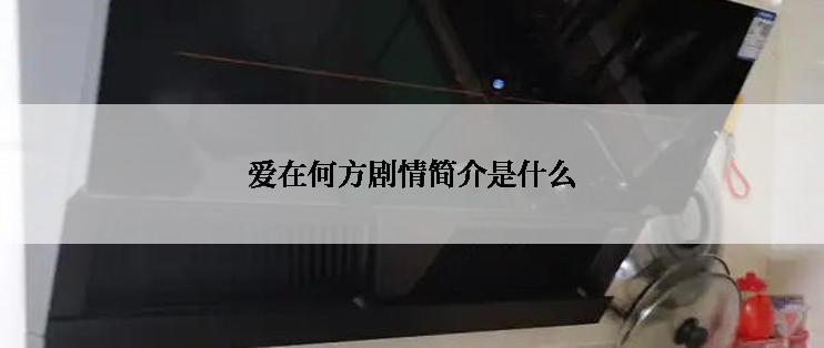 爱在何方剧情简介是什么