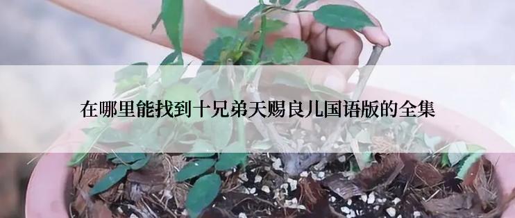 在哪里能找到十兄弟天赐良儿国语版的全集