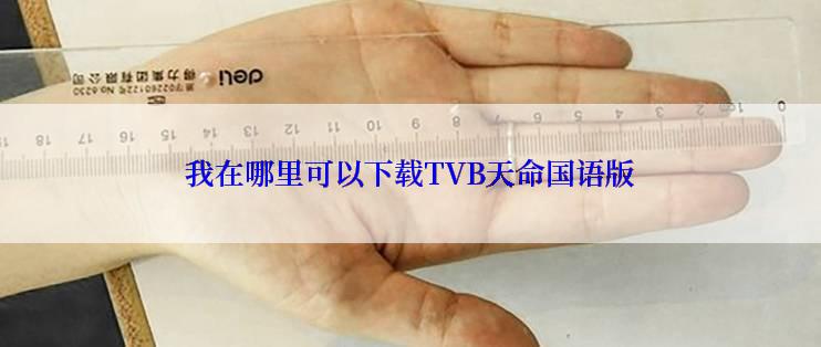 我在哪里可以下载TVB天命国语版