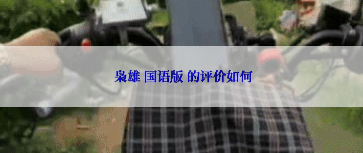  枭雄 国语版 的评价如何