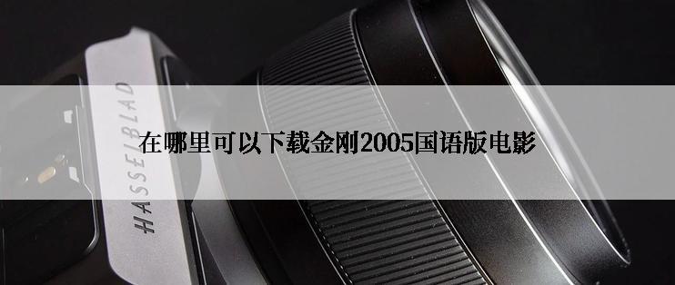 在哪里可以下载金刚2005国语版电影