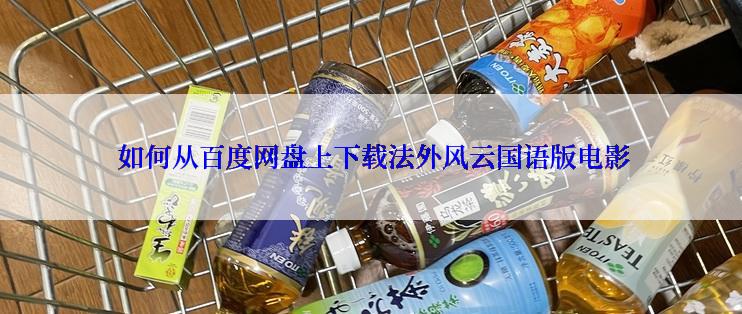  如何从百度网盘上下载法外风云国语版电影