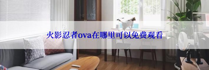 火影忍者ova在哪里可以免费观看