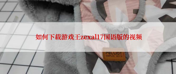  如何下载游戏王zexal17国语版的视频