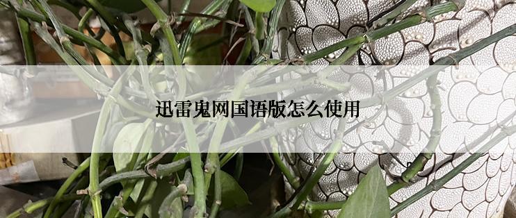 迅雷鬼网国语版怎么使用