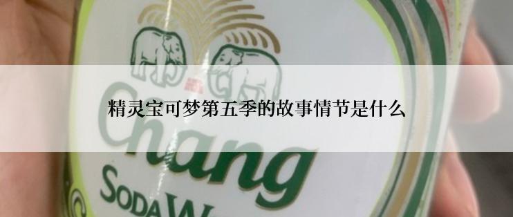 精灵宝可梦第五季的故事情节是什么