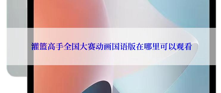  灌篮高手全国大赛动画国语版在哪里可以观看