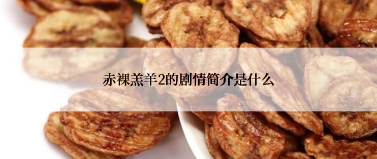 赤裸羔羊2的剧情简介是什么