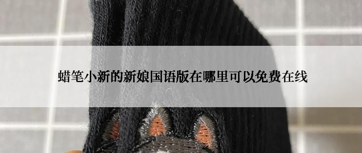  蜡笔小新的新娘国语版在哪里可以免费在线