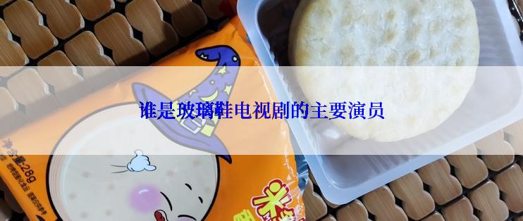 谁是玻璃鞋电视剧的主要演员