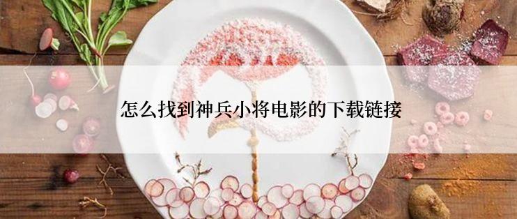  怎么找到神兵小将电影的下载链接