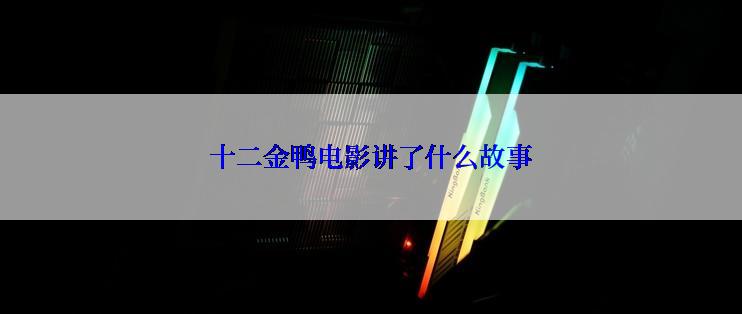 十二金鸭电影讲了什么故事