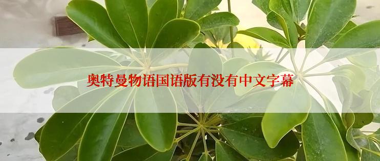 奥特曼物语国语版有没有中文字幕