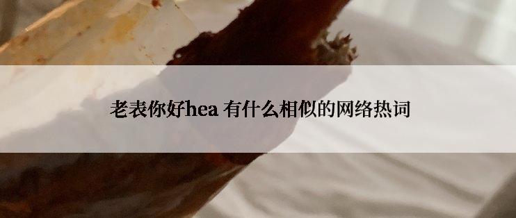  老表你好hea 有什么相似的网络热词