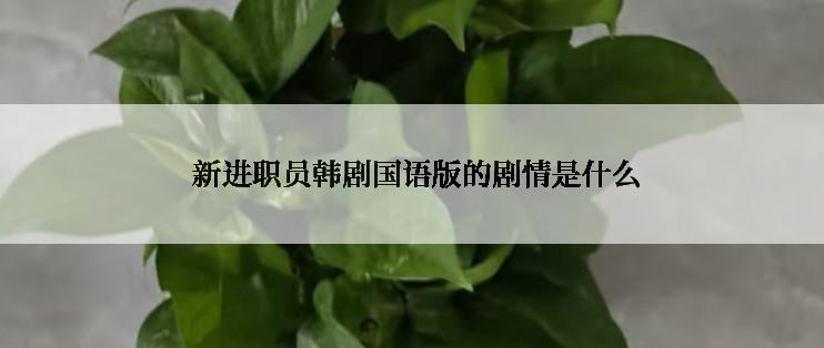  新进职员韩剧国语版的剧情是什么