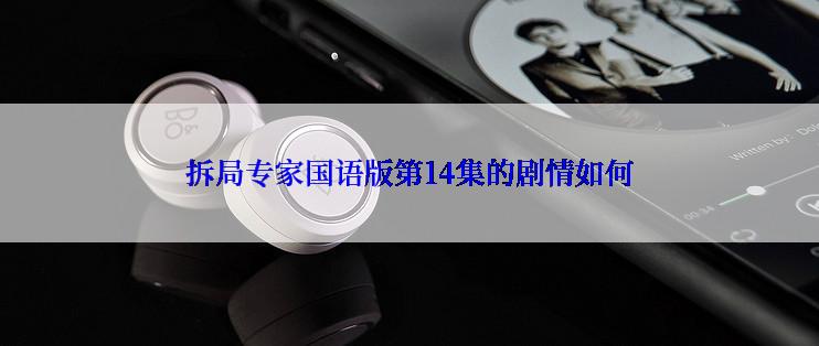 拆局专家国语版第14集的剧情如何