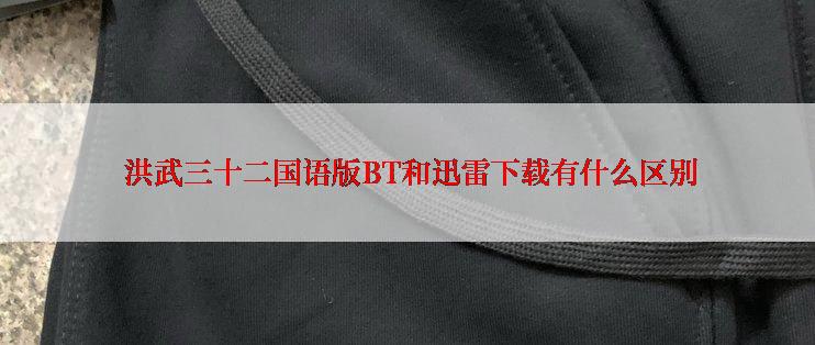  洪武三十二国语版BT和迅雷下载有什么区别