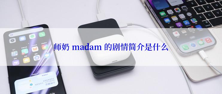 师奶 madam 的剧情简介是什么