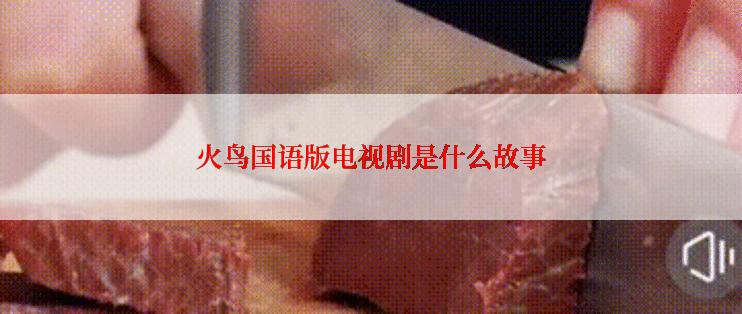 火鸟国语版电视剧是什么故事