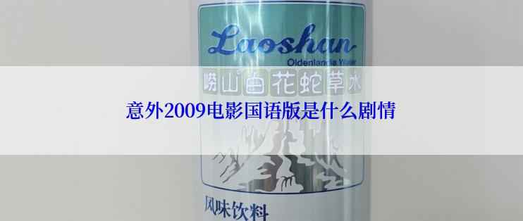 意外2009电影国语版是什么剧情